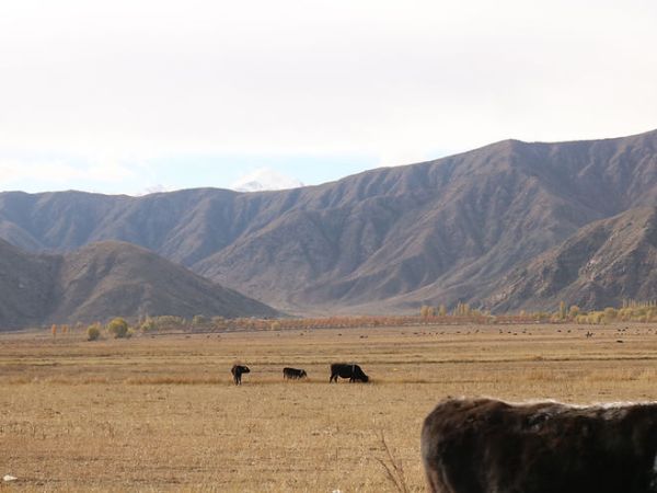 Kyrgyzstan, the Road Less&nbsp;Traveled