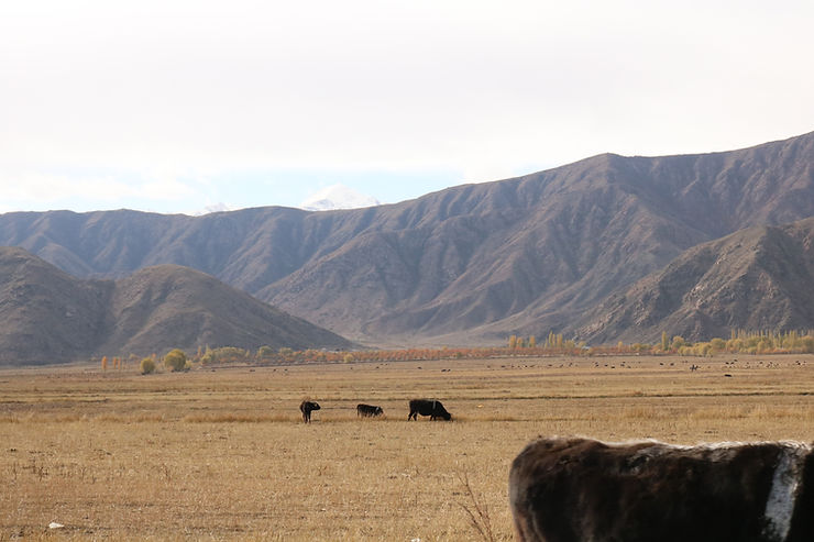 Kyrgyzstan, the Road Less&nbsp;Traveled